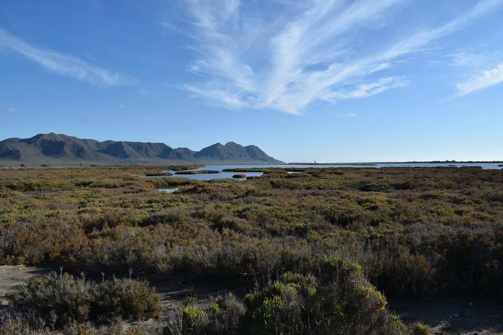 Penzion Cortijo La Molina De Cabo De Gata Exteriér fotografie