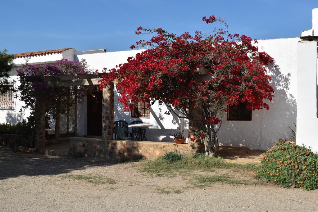 Penzion Cortijo La Molina De Cabo De Gata Exteriér fotografie