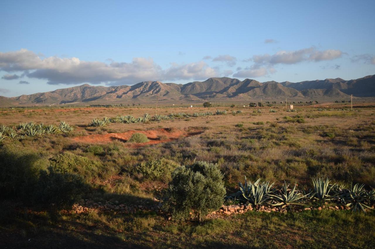 Penzion Cortijo La Molina De Cabo De Gata Exteriér fotografie