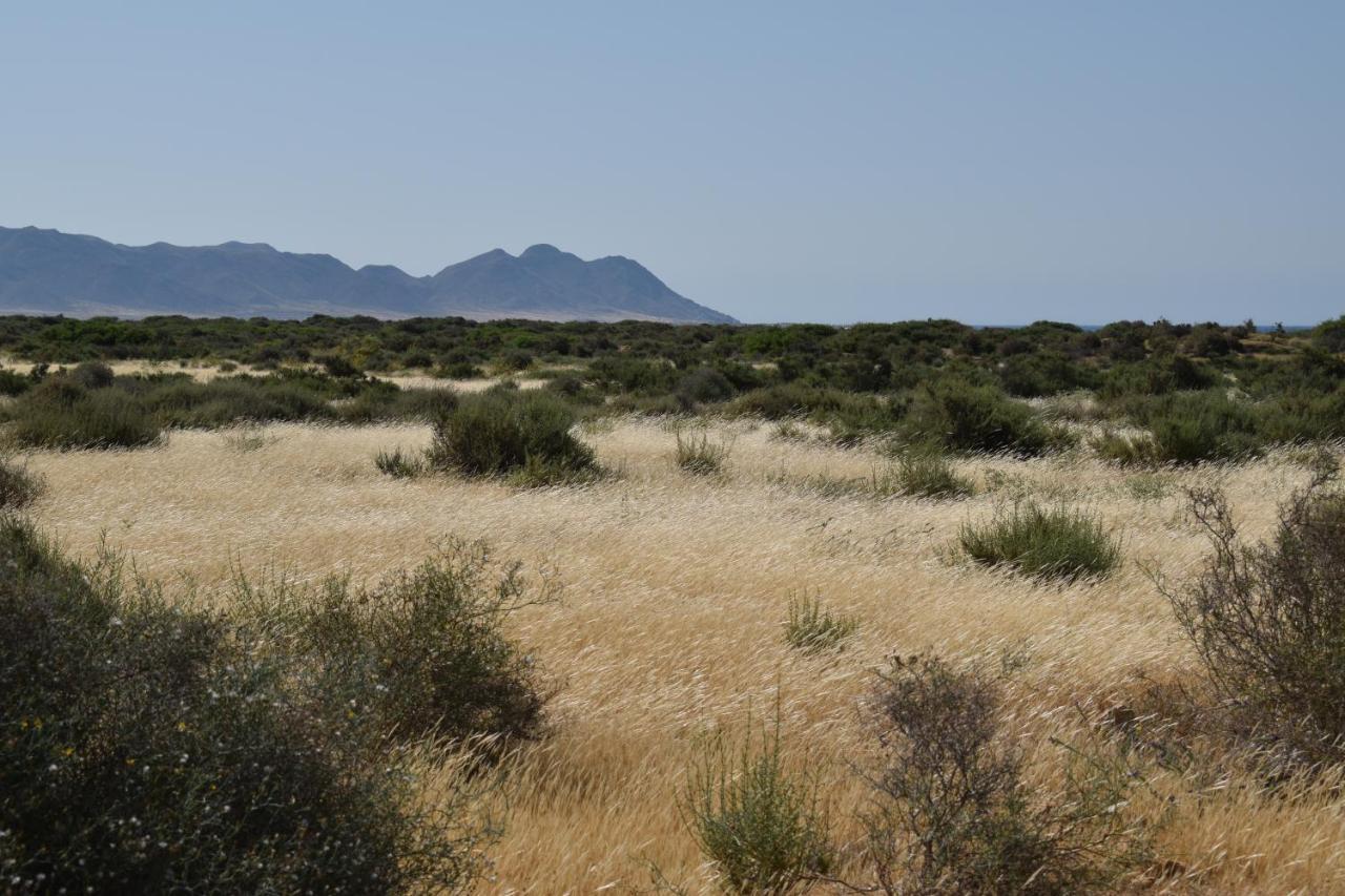 Penzion Cortijo La Molina De Cabo De Gata Exteriér fotografie